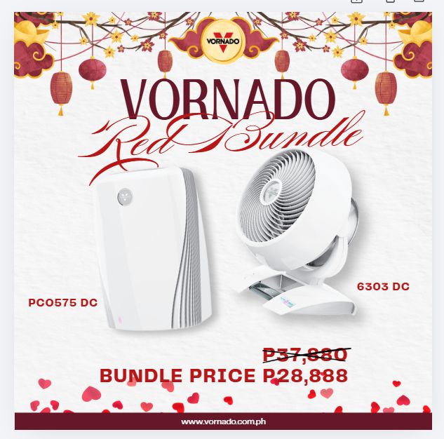 Vornado PCO575DC White + Vornado 6303 DC White
